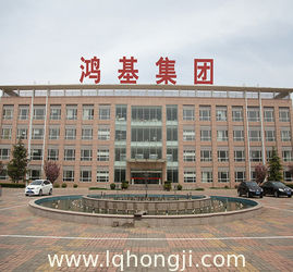 Linqing Hongji Group Co., Ltd.