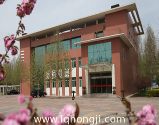 Linqing Hongji Group Co., Ltd.