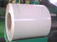 PPGI Coils, Color Coated Steel Coil, RAL9002 White Prepainted Galvanized Steel Coil supplier