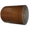 printed galvanized aluzinc steel coil ppgi ppgl steel coil with wood pattern supplier