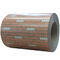 DX51D Brick PRINTECH Texture/Pattern color  Steel Coil Prepainted for Building supplier