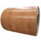 Two sides 2D wood pattern ppgi /good quality double 2D wooden ppgi metal fences supplier